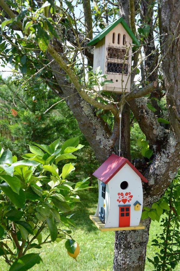 Particulier Séjour chez l'habitant